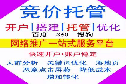 某科技公司SEM优化实践：从数据看效果提升